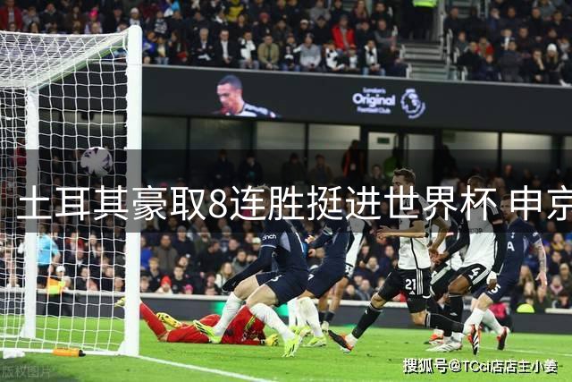土耳其豪取8连胜挺进世界杯 申京转发官方庆祝海报